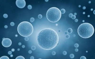 Insegnamento Università di Napoli