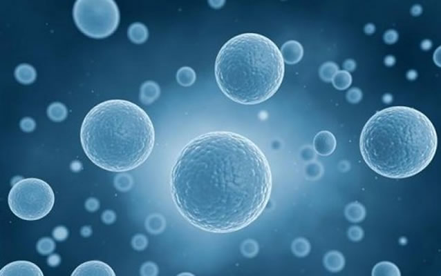 Insegnamento Università di Napoli