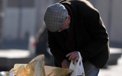 Barboni, non per caso